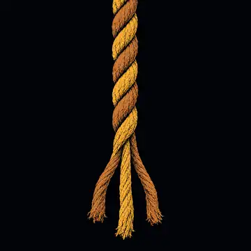 A rope of three twisted strands, coming apart into three at the bottom.